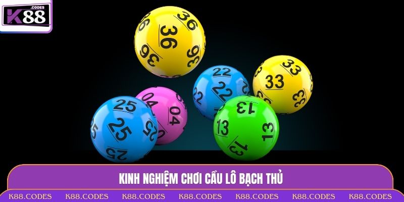 Kinh nghiệm chơi cầu lô bạch thủ