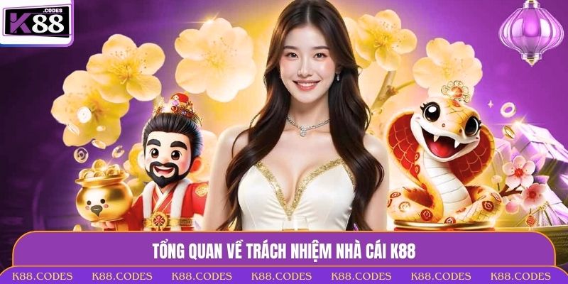 Trách nhiệm nhà cái